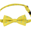 Timmy Bow Tie