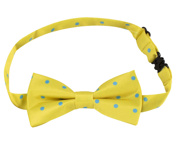 Timmy Bow Tie