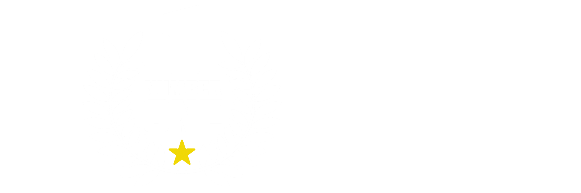 GO! Curriculum ranked number 1 by the Metro Children's Ministry Conference. "I absolutely loved the concept, creativity, and fresh approach this curriculum provides! The storytelling format was interactive, really placing the kids in the middle of the story. It was fun and engaging (even silly at times!) Right at the kids level." A KidMin curriculum and Sunday school lesson that leaders love as much as kids.